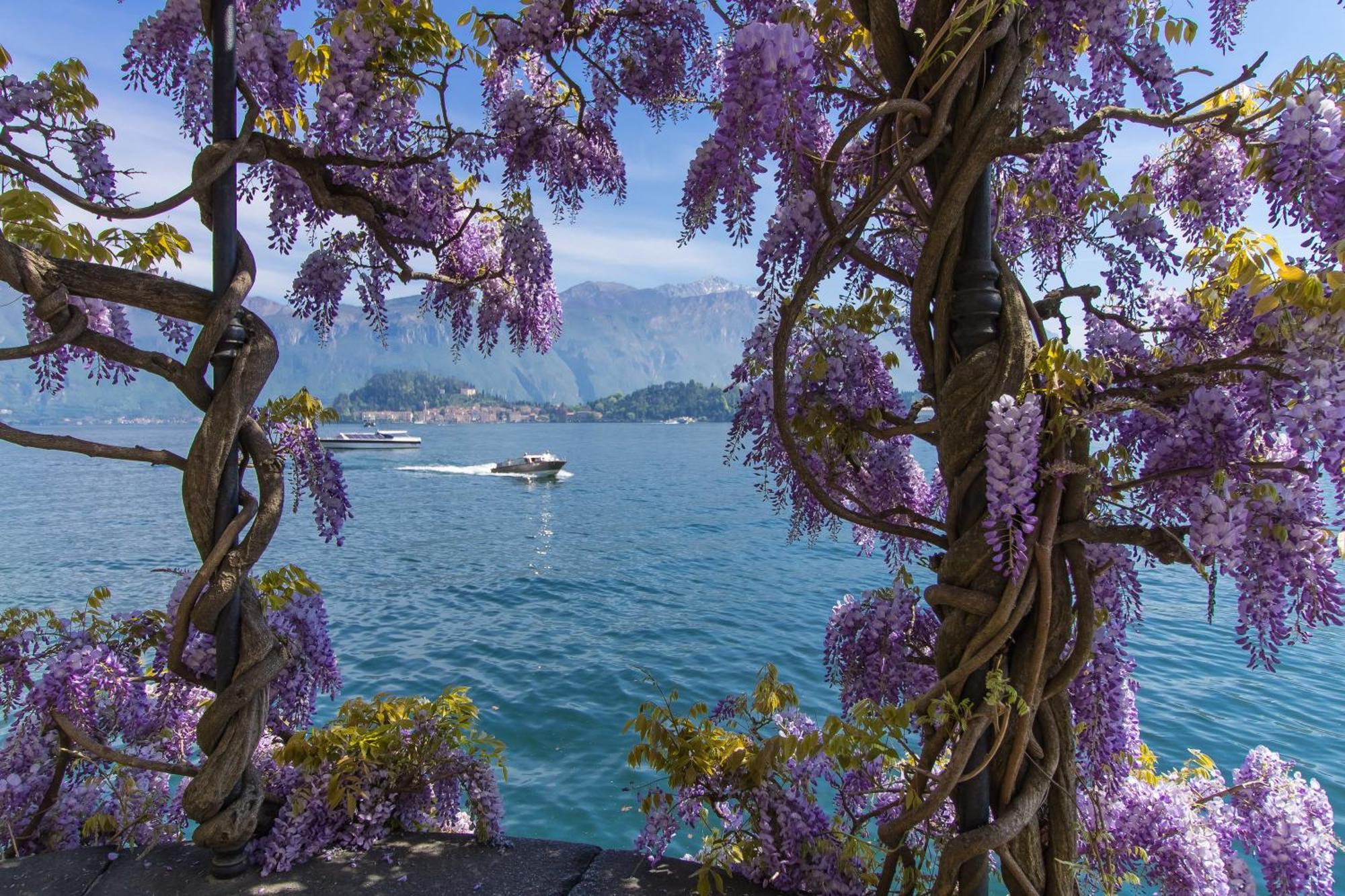 Belvedere Mansarda Tremezzo Buitenkant foto